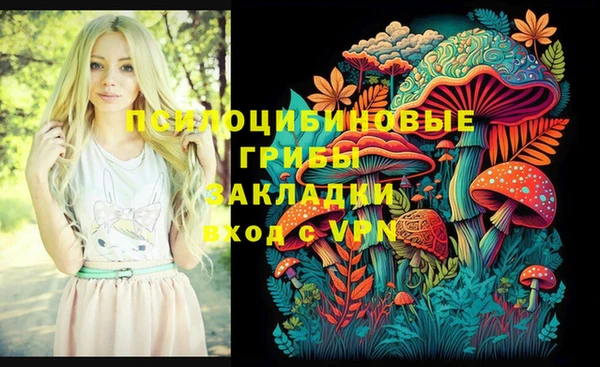СК Нягань