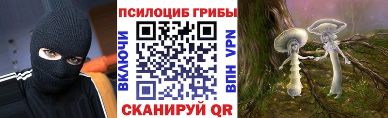 где купить наркоту  Киренск  Галлюциногенные грибы ЛСД 
